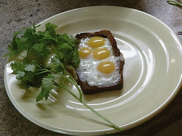 Перепелині яйця з зеленою петрушкою — стокове фото