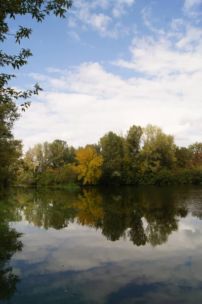 Park miejski w lecie w przyrodzie — Zdjęcie stockowe