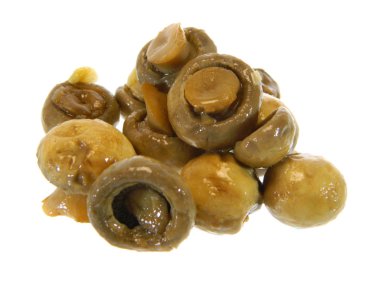 Beyaz arkaplanda izole edilmiş mantarlar