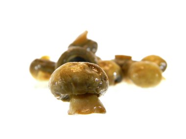 Beyaz arkaplanda izole edilmiş mantarlar