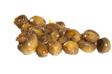 Beyaz arkaplanda izole edilmiş mantarlar