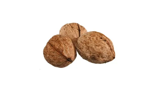 Walnut isolated on white background — Stock Photo, Image