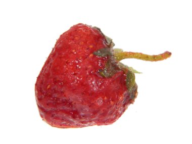                                Çilek beyaz arkaplanda izole edildi