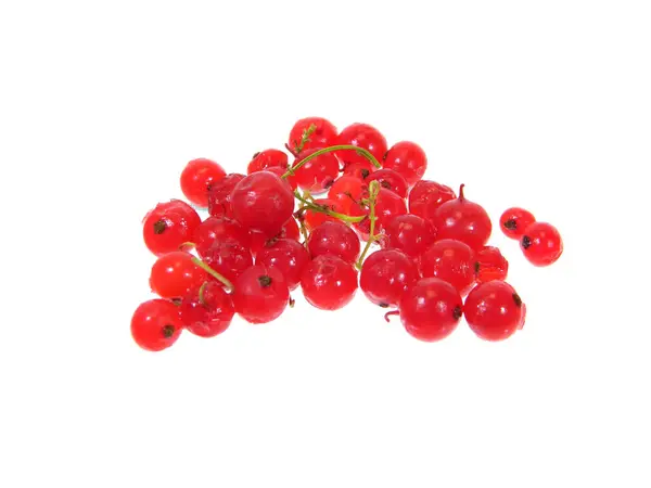 Red Currant Isolated White Background — Stock Photo, Image