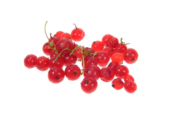 Red Currant Isolated White Background — Stock Photo, Image