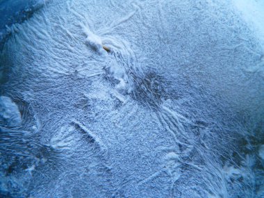                                Bozuk sebzelerin üzerindeki küfün renkli filmi