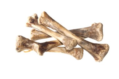 Beyaz arka plan üzerinde izole kemik