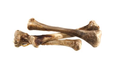 Beyaz arka plan üzerinde izole kemik