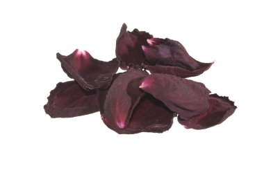 Beyaz arkaplanda gül yaprakları izole