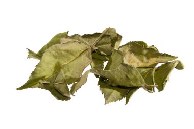 beyaz arkaplanda kuru gül yaprakları izole