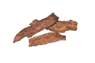 Beyaz arkaplanda ağaç kabuğu izole