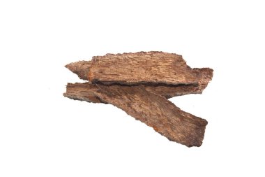 Beyaz arkaplanda ağaç kabuğu izole