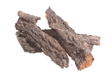 Beyaz arkaplanda ağaç kabuğu izole