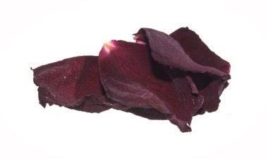 Beyaz arkaplanda gül yaprakları izole