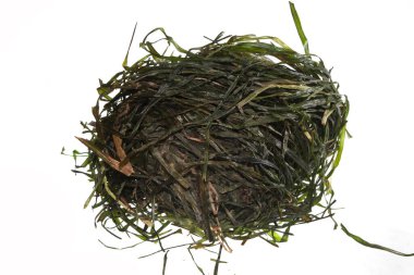 beyaz arkaplanda izole edilmiş kuru ot