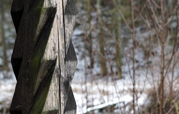 Wooden Pillar in Winter Ambience Stock Image