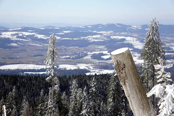 冬季巴伐利亚山脉的树干 — 图库照片