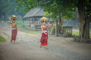 Tenganan, Bali / Endonezya - 25 Mayıs 2018: Tenganan bali köyünde uyum ortamı
