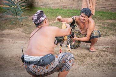 Tenganan, Bali / Endonezya - 25 Mayıs 2018: Tenganan bali köyünde uyum ortamı