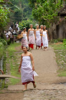 Tenganan, Bali / Endonezya - 25 Mayıs 2018: Tenganan bali köyünde uyum ortamı