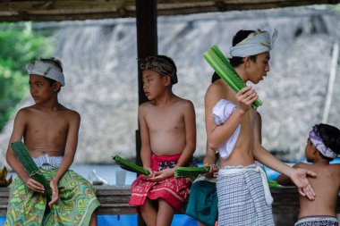 Pandan savaşı, 12 Haziran 2017 'de Endonezya' nın Karangasem Regency kentindeki Bali Ağa köyü nüfusu tarafından Pandan 'dan yapılmış bir dövüş ritüeli.