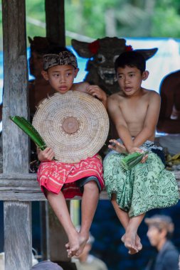 Pandan savaşı, 12 Haziran 2017 'de Endonezya' nın Karangasem Regency kentindeki Bali Ağa köyü nüfusu tarafından Pandan 'dan yapılmış bir dövüş ritüeli.