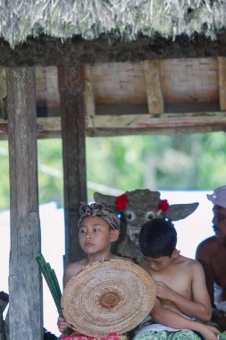 Pandan savaşı, 12 Haziran 2017 'de Endonezya' nın Karangasem Regency kentindeki Bali Ağa köyü nüfusu tarafından Pandan 'dan yapılmış bir dövüş ritüeli.