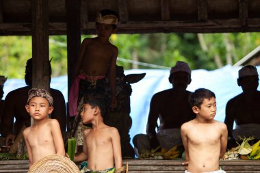 Pandan savaşı, 12 Haziran 2017 'de Endonezya' nın Karangasem Regency kentindeki Bali Ağa köyü nüfusu tarafından Pandan 'dan yapılmış bir dövüş ritüeli.