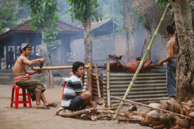 Karangasem, Bali / Endonezya - 3 Haziran 2017: Tenganan Köyünden bir adam tören sırasında domuz eti yaktı
