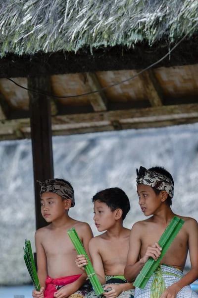 Battaglia Pandan Una Tradizione Balinese Combattimento Rituale Con Club Fatti — Foto Stock
