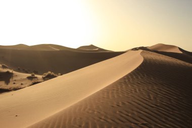 Sahara çölünde gün batımı