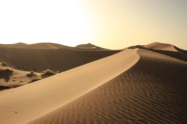 Sahara çölünde gün batımı