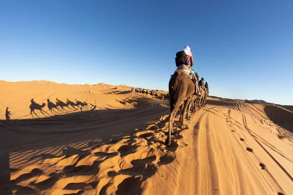 Coucher Soleil Sur Les Dunes Sable Les Personnes Chevauchant Chameau — Photo