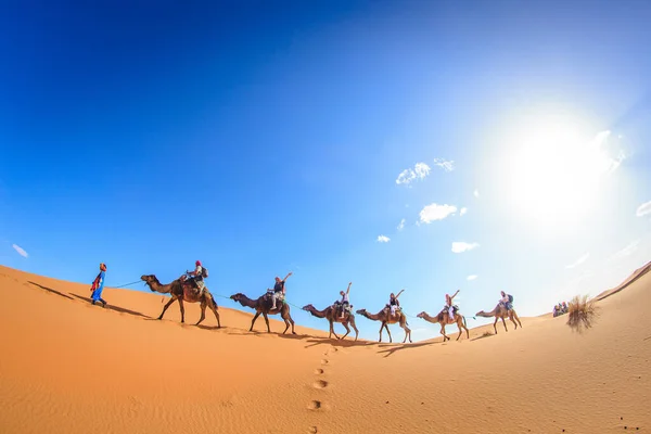 Merzouga, Fas, Afrika; 29 Nisan 2018: Kum tepelerinin üzerinde gün batımı ve Sahra Çölü 'nde deveye binen insanlar, Fas, Afrika.