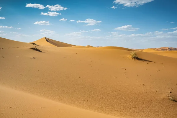 Atemberaubender Sonnenuntergang Über Den Sanddünen Der Sahara Marokko Afrika — Stockfoto