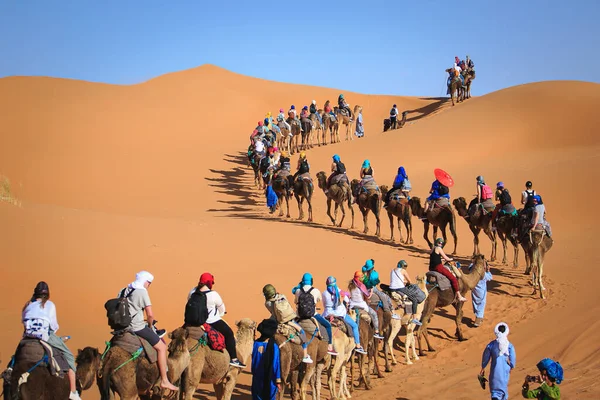 Solnedgång Över Sanddynerna Och Människor Rider Kamel Saharaöknen Sin Resa — Stockfoto