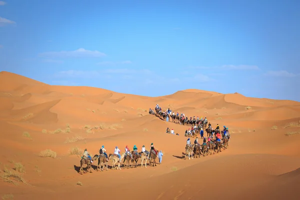Закат Над Песчаными Дюнами Люди Верхом Верблюде Пустыне Сахара Время — стоковое фото
