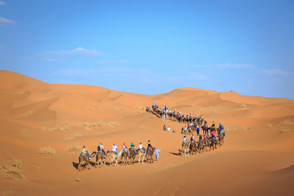 Sonnenuntergang Über Den Sanddünen Und Menschen Auf Einem Kamel Der — Stockfoto