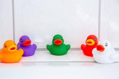 Banyodaki renkli plastik ördekler. Gençler ve yaşlılar için banyo eğlencesi. Mükemmel dekorasyon, hatta tuvaletteki oyuncaklar. Ama aynı zamanda mürekkep balığı, timsah ve kauçuktan yapılmış denizyıldızı.. 