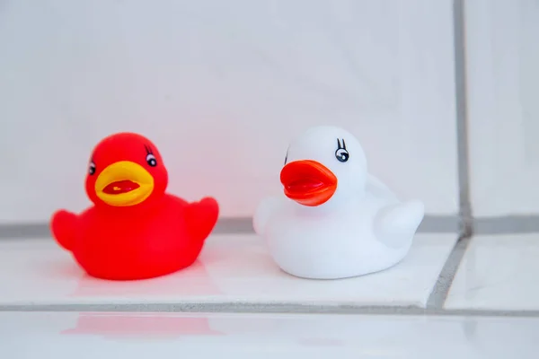 Colorful rubber ducks in the bathroom. Bathing fun for young and old. The perfect decoration or even toys in the bathroom. But also a squid, crocodile and starfish made of rubber.