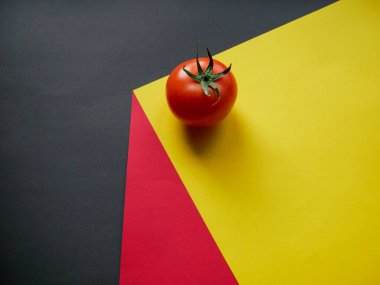 Kırmızı domates içeriği renkli arka planda izole edilmiş. Mevsimlik sebzeler modern tarzda. Boşluğu kopyala