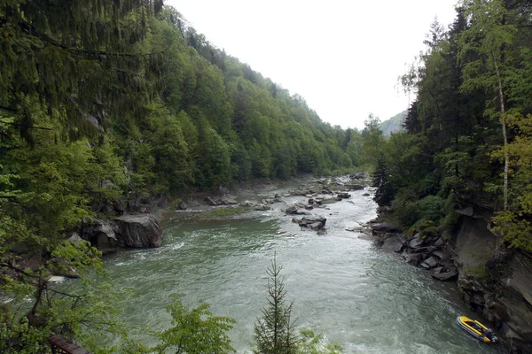 Karpat dağlarındaki dağ nehrinin manzarası
