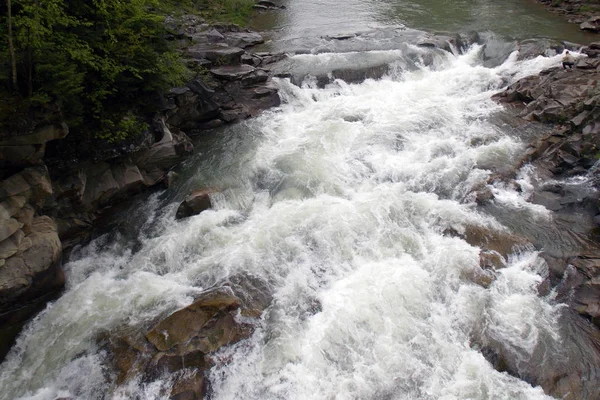 Kışın akan nehir Karpat Ormanı