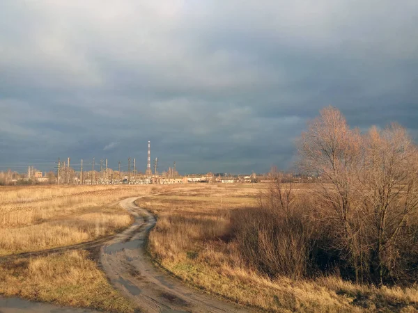 Sonbahar manzarası bulutlu bir gökyüzüne karşı kuru çimenler