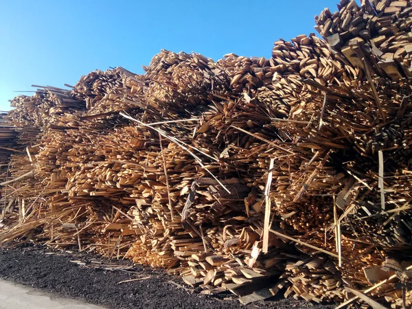 Träbränsle För Kraftverk — Stockfoto