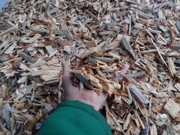 Bir elektrik santralinin biyoyakıt yakıtını yakmak için odun parçaları.