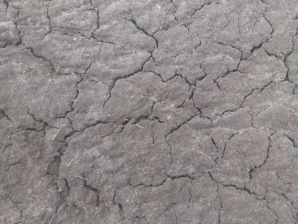 Doku kuru. Su olmadan toprağı çatlatmış.