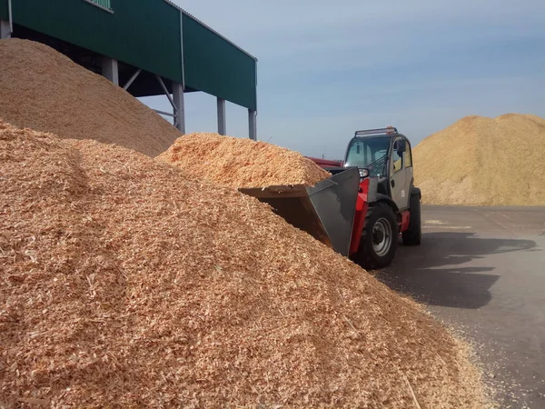 Ağaç parçaları yeşil enerjinin yakıtıdır.