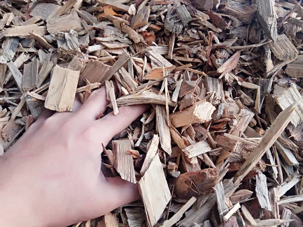 Ahşap parçaları - alternatif enerji için biyoyakıt