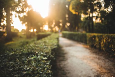 Parkın bulanık bokeh arkaplanı